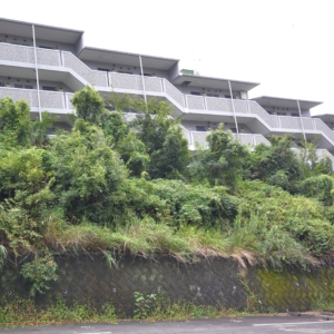 静岡大学まで徒歩圏内、見晴らしのよい物件です。ＲＣ造なので、耐震・遮音性に優れたマンションです♪